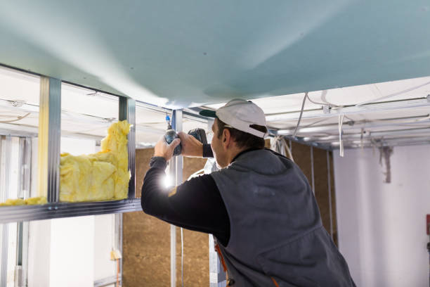 Types of Insulation We Offer in Grand Ledge, MI