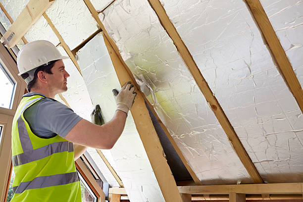 Best Cellulose Insulation in Grand Ledge, MI